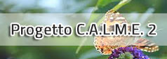 Lambro Meridionale